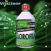 **CONCENTRADO FUNCIONAL DE CLOROFILA 500ml** Natural Freshly